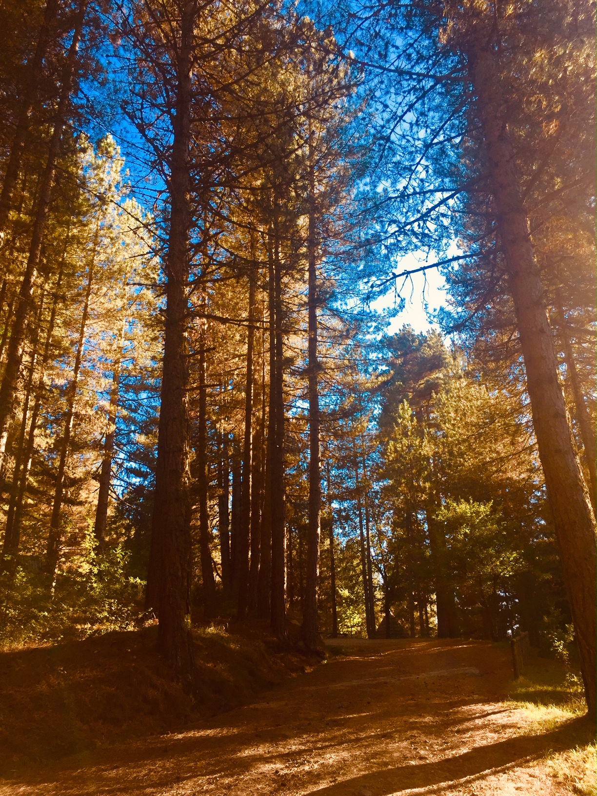 Autunno in Sila, tra natura, colori e sapori