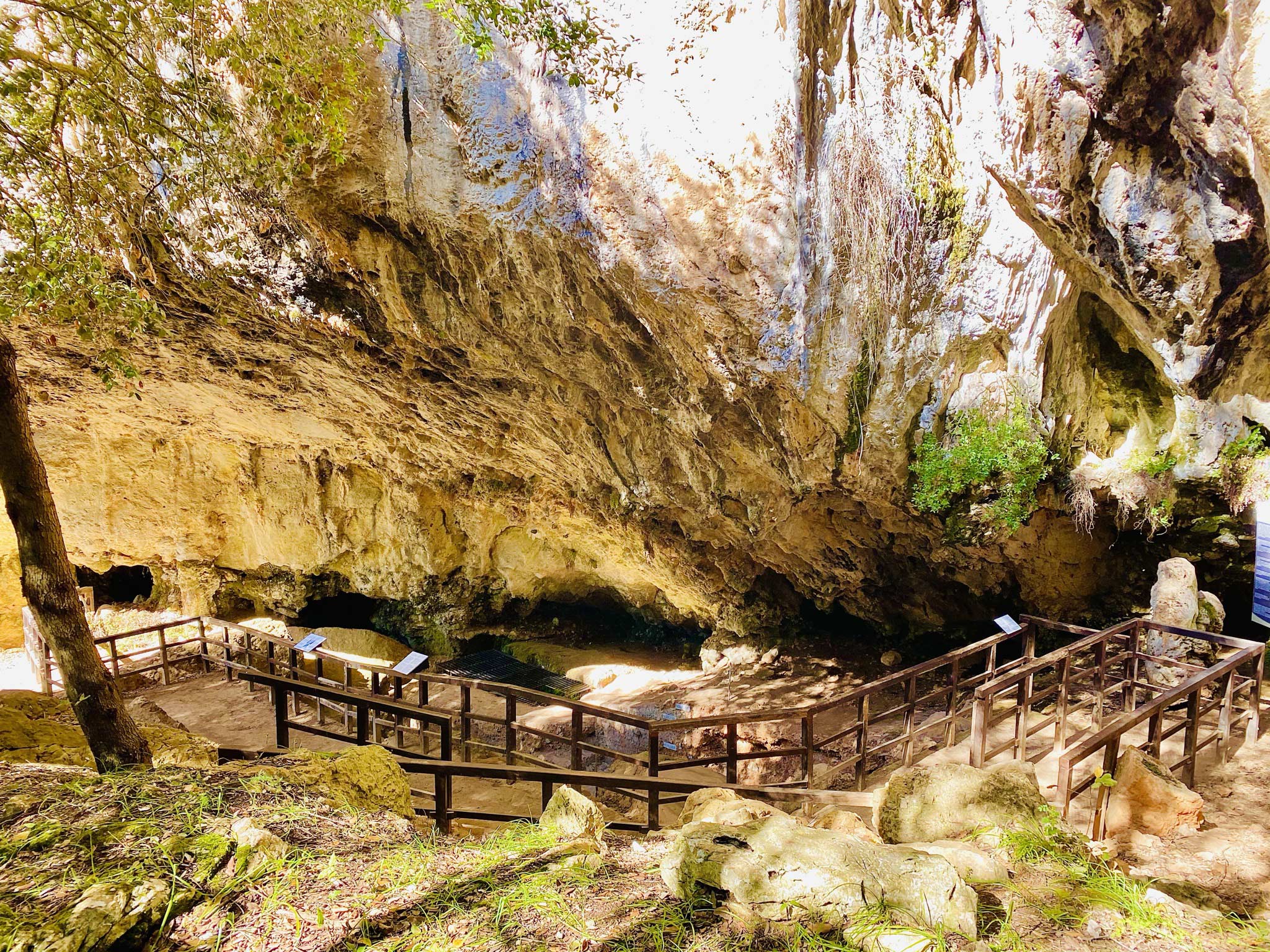 Grotta di Papasidero